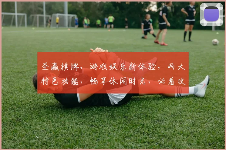 圣赢棋牌，游戏娱乐新体验，两大特色功能，畅享休闲时光，必看攻略