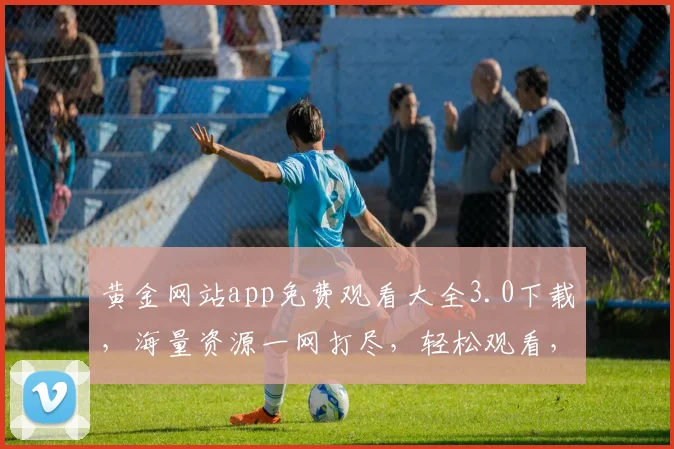 黄金网站app免费观看大全3.0下载，海量资源一网打尽，轻松观看，不容错过，免费下载