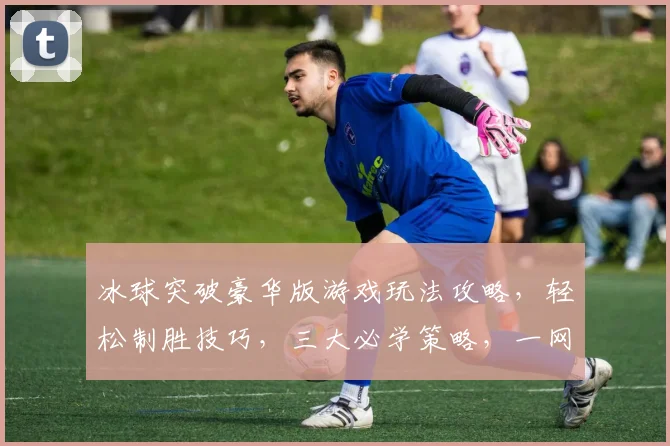 冰球突破豪华版游戏玩法攻略，轻松制胜技巧，三大必学策略，一网打尽
