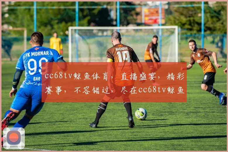 cc68tv鲸鱼体育，直播盛宴，精彩赛事，不容错过，尽在cc68tv鲸鱼体育