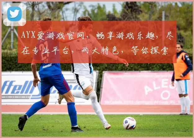 AYX爱游戏官网，畅享游戏乐趣，尽在专业平台，两大特色，等你探索，体验非凡